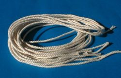gr-010 �١����ޤΤҤ⡡10��